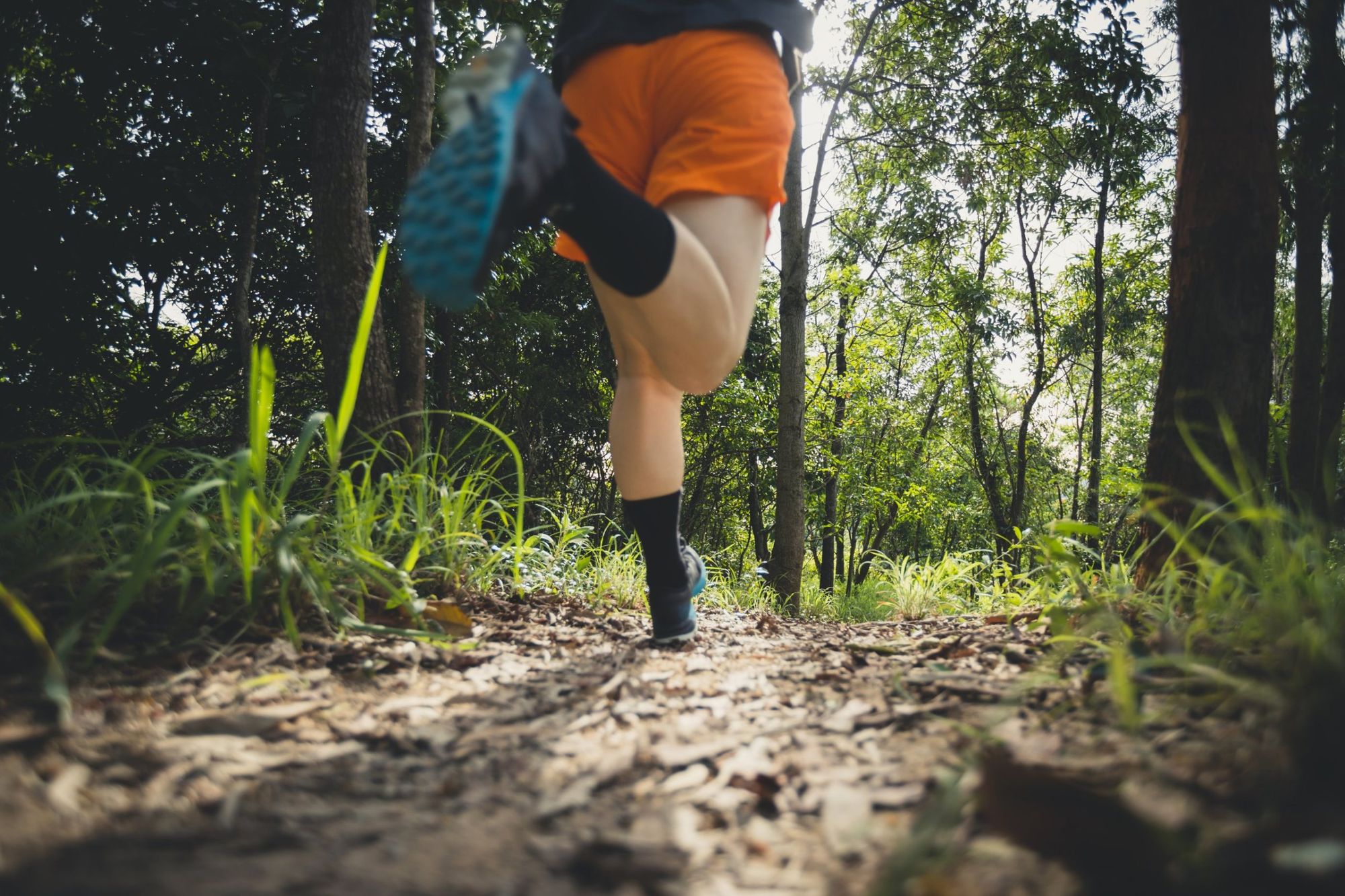 Persona corriendo por un sendero de tierra en el bosque
